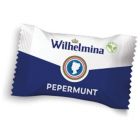 Fortuin Wilhelmina Pepermunt dispenser box 200st